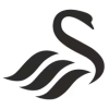 斯旺西