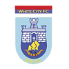 白城伍德维尔  logo