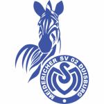 杜伊斯堡 杜伊斯堡