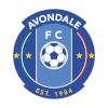 艾云达尔 logo