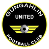 甘加林联 logo