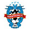 杨平 杨平