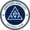 深圳新鹏城 logo