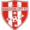 金士顿城 logo