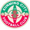 昆明城星 logo