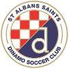 圣奥尔本斯圣特斯U23 圣奥尔本斯圣特斯U23