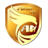 大连鲲城 logo