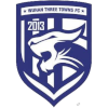 武汉三镇B队  logo