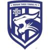 武汉三镇B队 logo