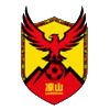 凉山队