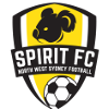 思比瑞特 logo