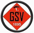 格平杰SV 格平杰SV