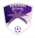 比萨FC 比萨FC