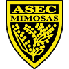 ASEC米莫萨 ASEC米莫萨