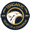 登加FC 登加FC