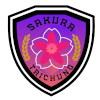 台中樱花女足 台中樱花女足