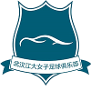 武汉车谷江大女足 武汉车谷江大女足